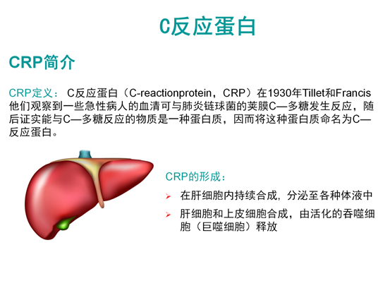 c反应蛋白的临床意义 (1)_03