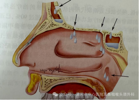 图片20.png