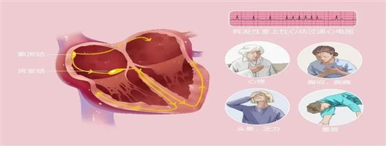 ff2d99d88aa016be166725f9a181a94