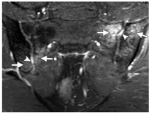 9597163c398c030543273c09097300af