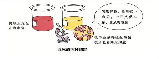 微信图片_20251107184037_3_18