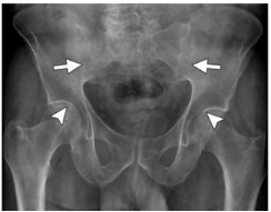 21946d7aabd073b94f66877a5c97fd74