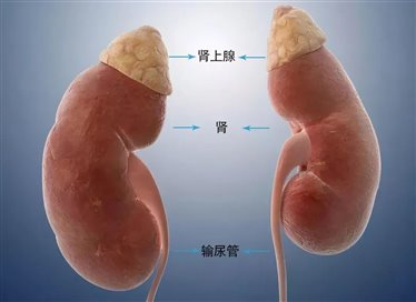 c30db66b4f5e98bcc206eb4c52107c39