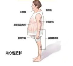 28edb18291cc9e29e8ddd2b360d2b0e2