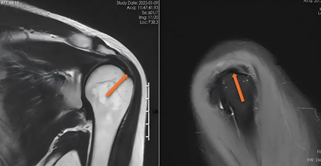 2e1fb7df-43ce-445a-9356-6af0ee05804e