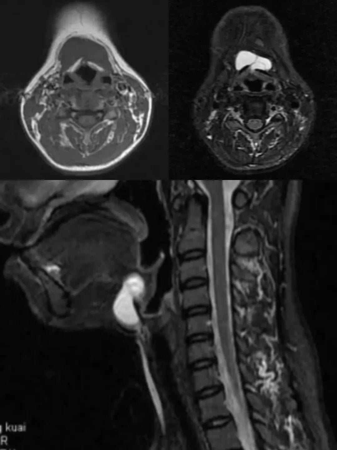 微信图片_2025-12-22_143644_323