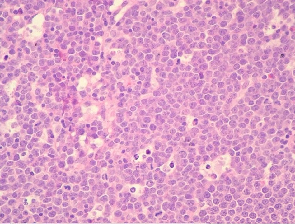 微信图片_20251206230848_61_2