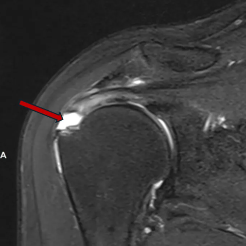 8dc135b8-767d-4dcb-9e6f-4b6fe721b12e