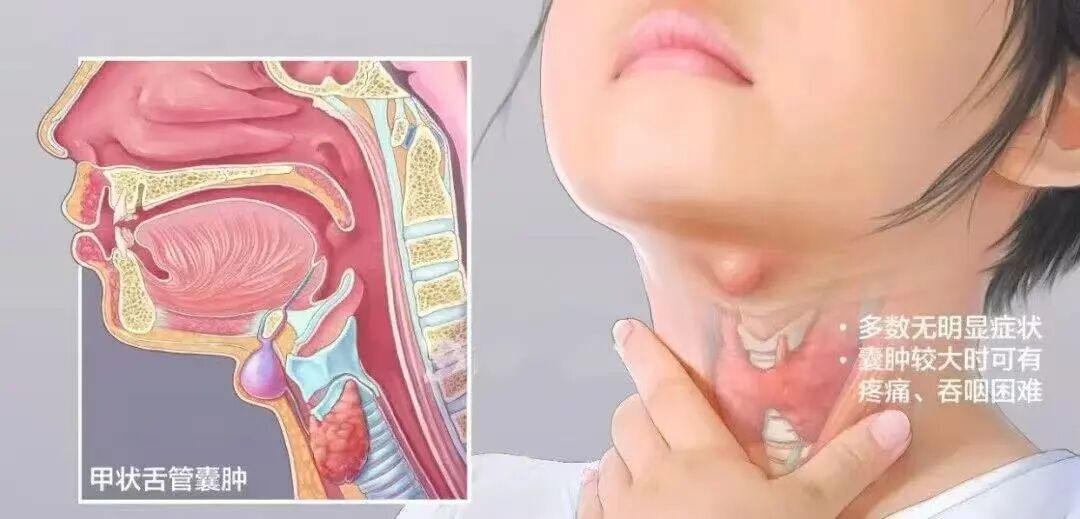 微信图片_2025-12-22_143420_314