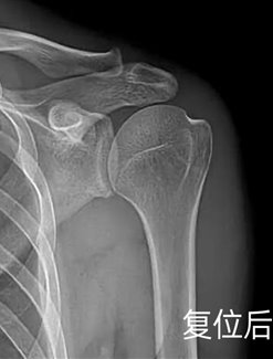 4fa5124208396d796ab0c755aacc3734