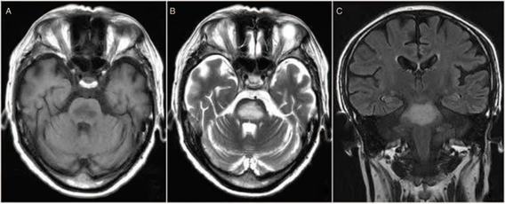 微信图片_2025-12-22_142607_086