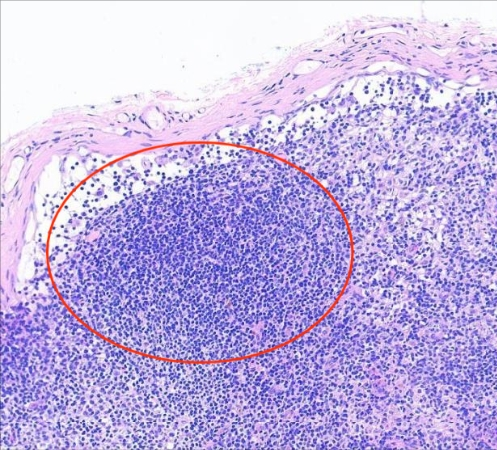 微信图片_20251206223632_56_2