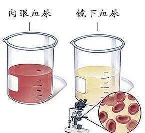 /private/var/mobile/Containers/Data/Application/4494A47D-7093-415A-A026-3639E797C8CB/tmp/insert_image_tmp_dir/2025-04-18 09:27:59.639000.png2025-04-18 09:27:59.639000