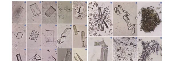 /private/var/mobile/Containers/Data/Application/4494A47D-7093-415A-A026-3639E797C8CB/tmp/insert_image_tmp_dir/2025-04-18 09:28:38.777000.png2025-04-18 09:28:38.777000