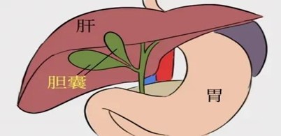 图片3.jpg 图片3.jpg