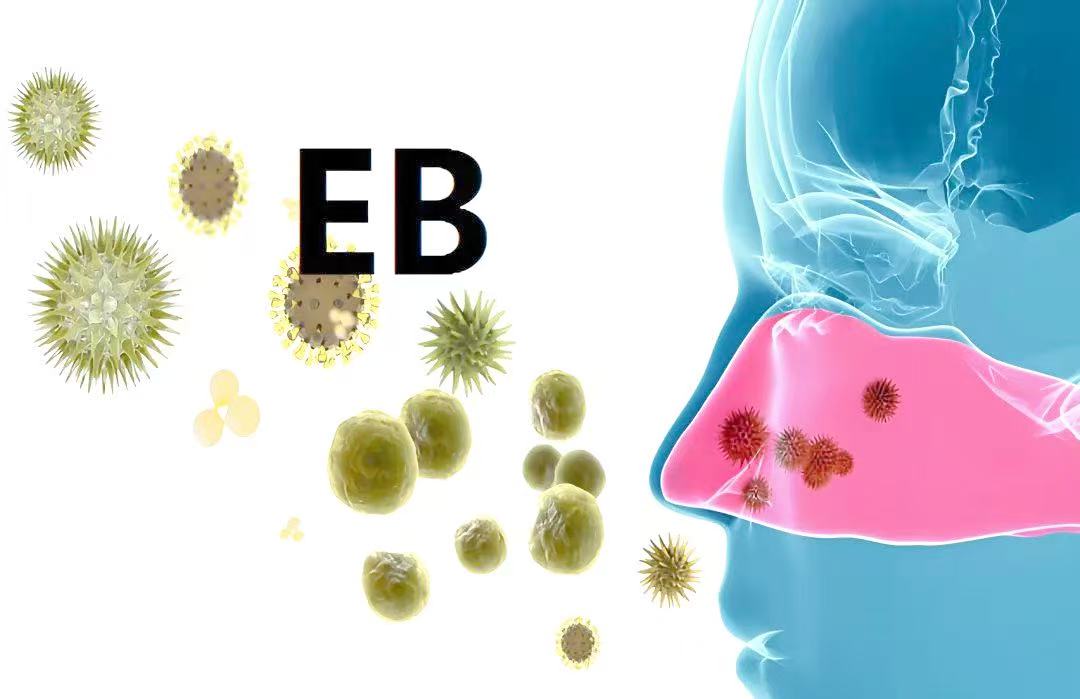 d41bf1f8643991bdd08f06afa8816f55