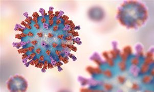 b5ae1fb7ca0744c3b9a102322b6294a