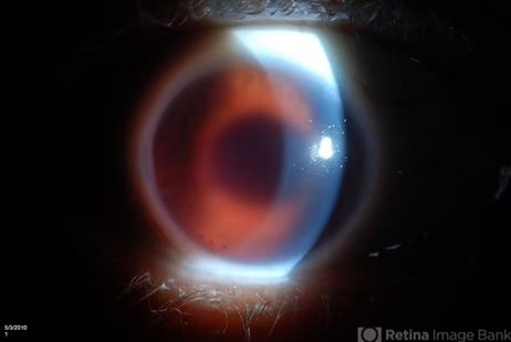 0492377c07d3c6bccdec635e5d913efe