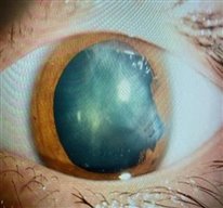 fc42f552d49f0d6cd8f22b366d3b16ce