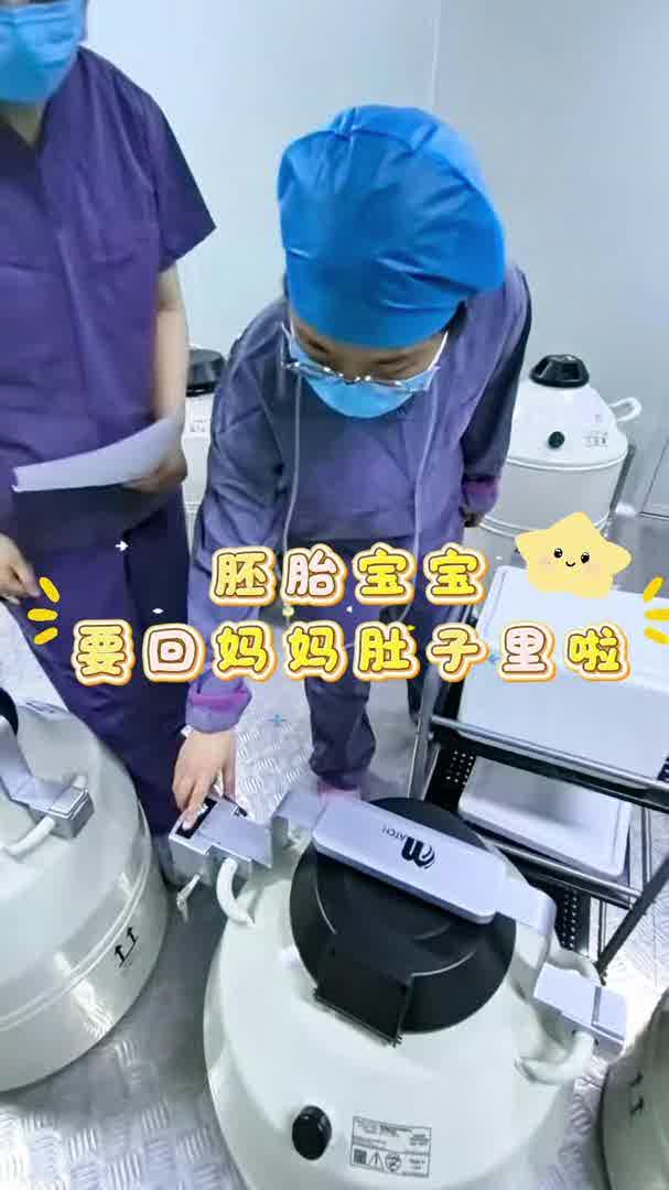 胚胎宝宝要回妈妈肚子里啦